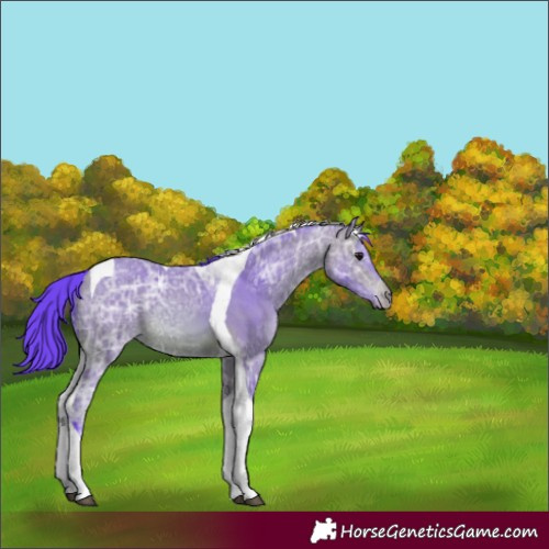 Horse Color:Watercolor Bay Ice Tobiano 