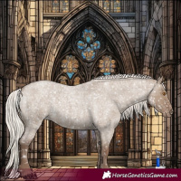 Horse Color:Silver Grullo Roan Snowflake Varnish Rabicano 