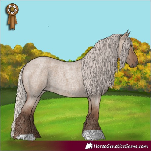 Horse Color:Silver Grullo Roan 