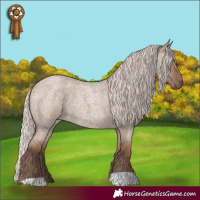 Horse Color:Silver Grullo Roan 