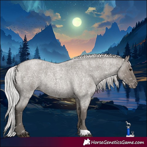 Horse Color:Platinum Silver Grullo Roan Appaloosa Rabicano 