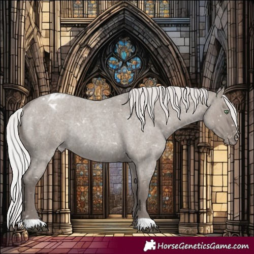 Horse Color:Platinum Silver Grullo Roan Appaloosa Rabicano