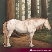 Horse Color:Red Dun Roan Appaloosa Rabicano Brindle 