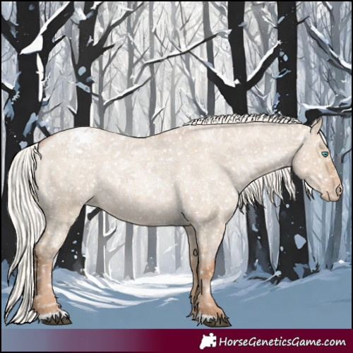 Horse Color:Silver Grullo Roan Pearl Snowflake VarnishRabicano