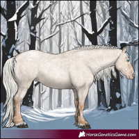 Horse Color:Silver Grullo Roan Pearl Snowflake VarnishRabicano