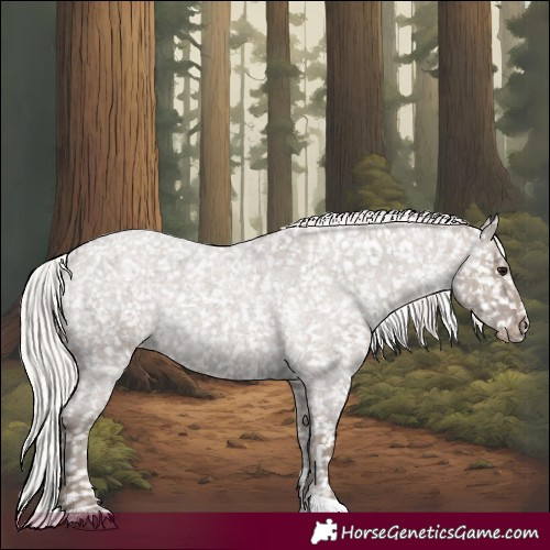 Horse Color:Silver Grullo Roan Appaloosa Rabicano 
