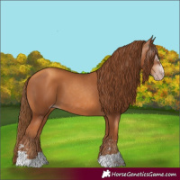 Horse Color:Gray Gold Champagne