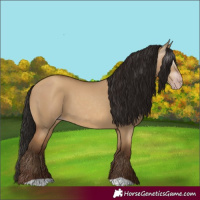 Horse Color:Gray Amber Champagne Dun 