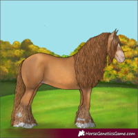 Horse Color:Gray Gold Champagne 