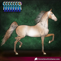 Horse Color:Gray White Spotted Buckskin Pearl 