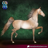 Horse Color:Gray White Spotted Buckskin Pearl 