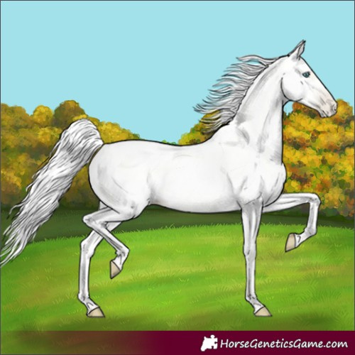 Horse Color:Silver Amber Cream Champagne Pearl Dun 