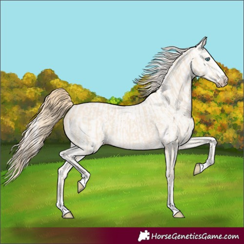 Horse Color:Perlino  and Perlino 