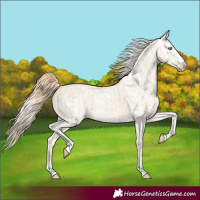 Horse Color:Perlino  and Perlino 
