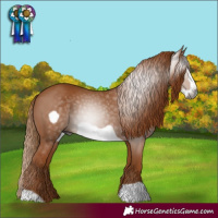 Horse Color:Gray Chestnut Frame 