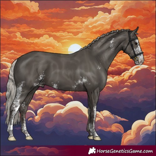 Horse Color:Silver Black Sabino