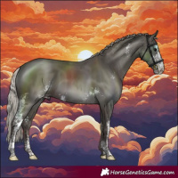 Horse Color:Silver Black Sabino
