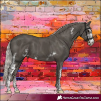 Horse Color:Silver Black Sabino 