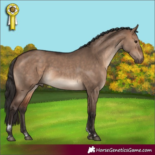 Horse Color:Bay Dun