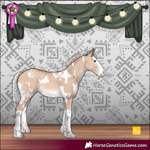 Horse Color:White Spotted Silver Amber Champagne Dun Splash 