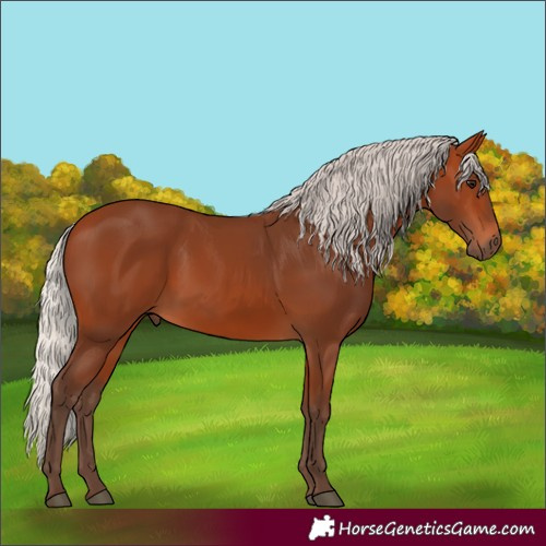 Horse Color:Silver Bay
