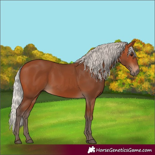 Horse Color:Silver Bay 