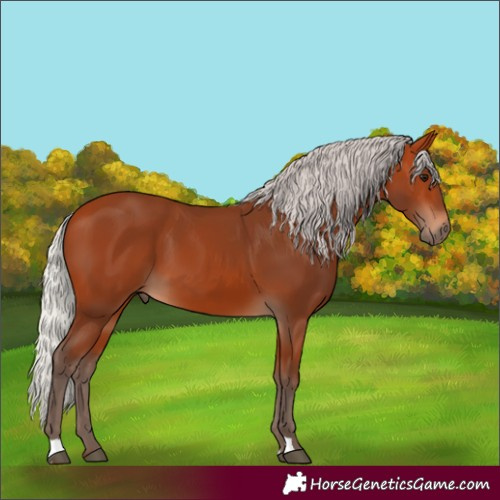 Horse Color:Silver Bay 