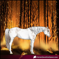 Horse Color:White Spotted Classic Champagne Splash Tobiano Frame Near Leopard 