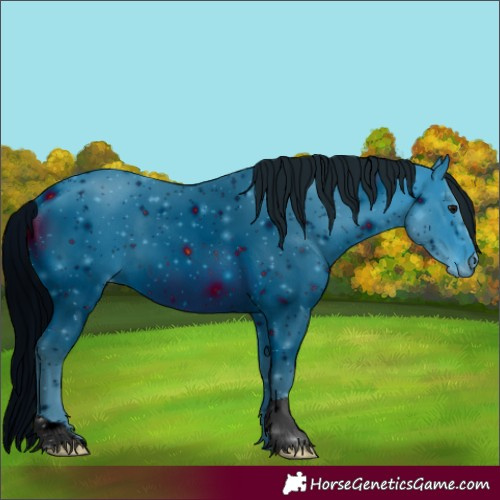 Horse Color:ERROR: UNKNOWN ANOMALY