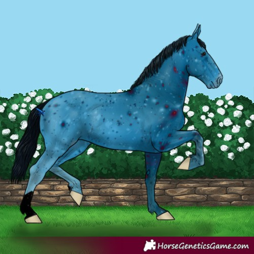 Horse Color:ERROR: UNKNOWN ANOMALY