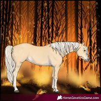 Horse Color:Palomino