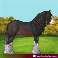 Horse Color:Brown Splash