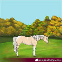 Horse Color:Silver Buckskin Tobiano