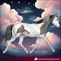 Horse Color:Grullo Splash Tobiano