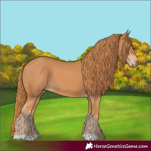 Horse Color:Chestnut 