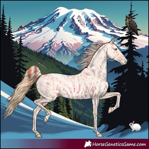 Horse Color:Buckskin Roan Pearl and Buckskin Roan Pearl