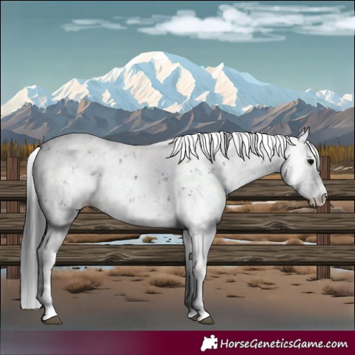 Horse Color:Black Sabino 