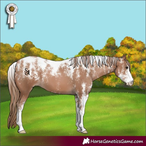Horse Color:Powder White Black Pearl