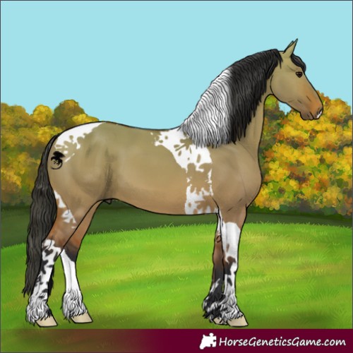 Horse Color:Bay Dun Tobiano 