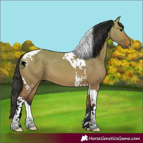 Horse Color:Bay Dun Tobiano 