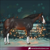 Horse Color:Brown Splash 