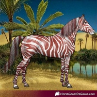 Horse Color:Liver Red Dun Rabicano