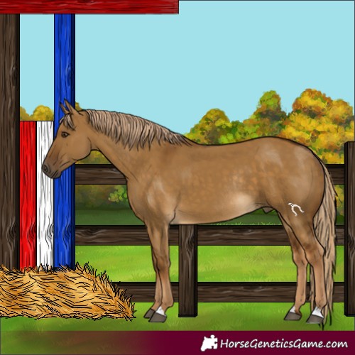 Horse Color:Chocolate Palomino Dun Rabicano 