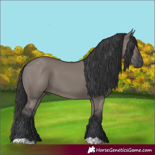 Horse Color:Grullo 