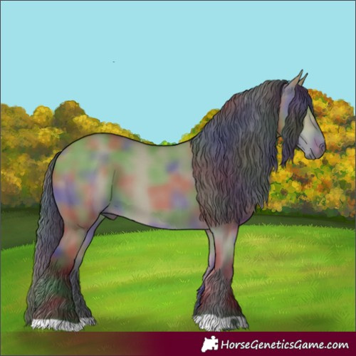 Horse Color:Nacre Bay Dun 