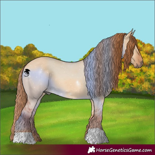 Horse Color:Red Dun 