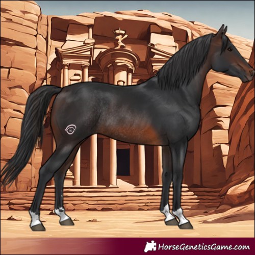 Horse Color:Brown Rabicano 