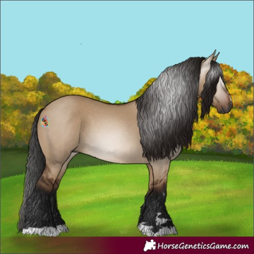 Horse Color:Gray Bay Dun 