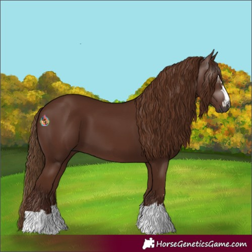 Horse Color:Gray Chestnut 