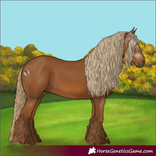 Horse Color:Gray Chestnut 